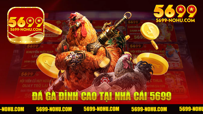 Trải Nghiệm Đá Gà Đỉnh Cao Tại Nhà Cái 5699 - Khám Phá Thế Giới Đầy Hấp Dẫn